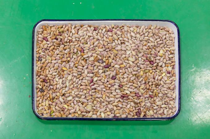 Wenyao Máquina de clasificación de color de grano rojo y riñón. 4