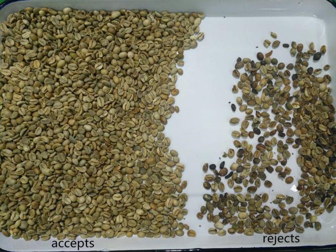 Wenyao Máquina de clasificación óptica de alto rendimiento Rino Frijol Brasil Frijol Máquina de clasificación de color 6