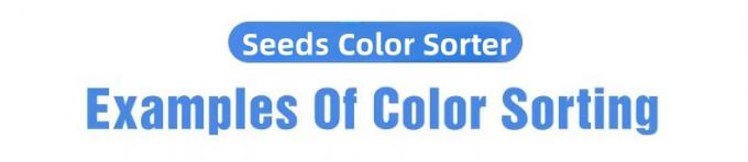 Wenyao 5 Chute China F&aacute;brica de clasificador &oacute;ptico Cardamomo Bean Color M&aacute;quina de clasificaci&oacute;n 1