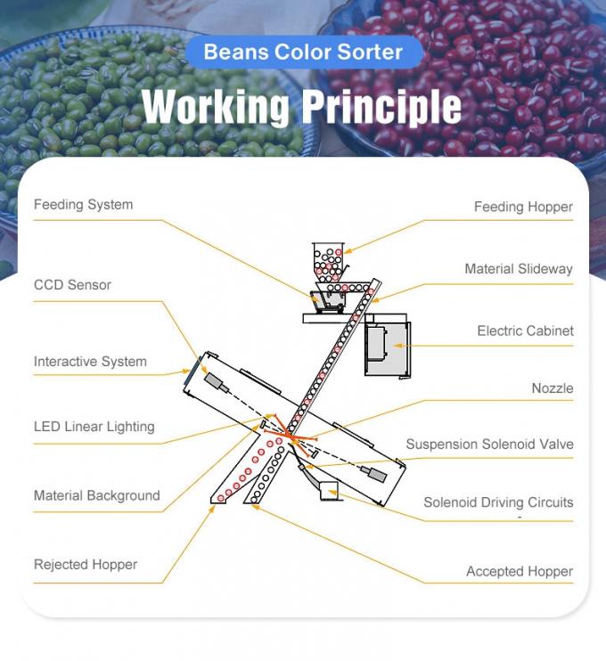 Wenyao China Precio de fábrica automático de los frijoles rojos de los riñones de los frijoles de la máquina de clasificación de color 3