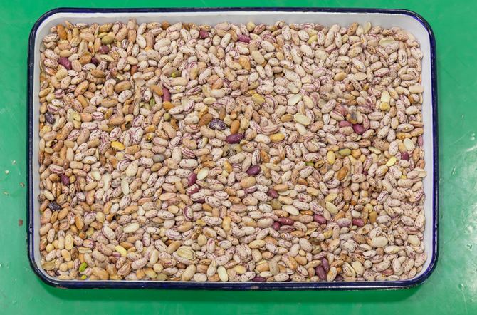 Wenyao Full Automatic 3 Chute Soya Broad Renal Bean Color Sortadora de la máquina 4