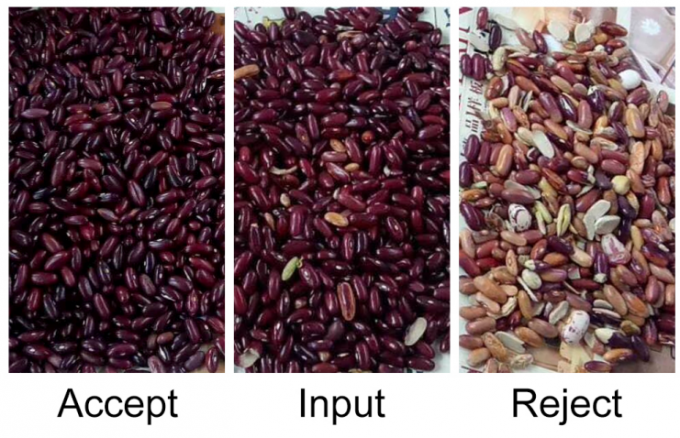 Máquina de clasificación óptica de color de frijoles rojos y riñones inteligente de alta precisión 9