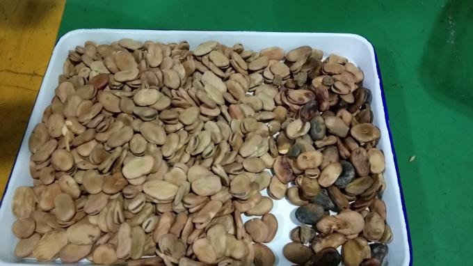 Wenyao Máquina de clasificación óptica de alto rendimiento Rino Frijol Brasil Frijol Máquina de clasificación de color 5