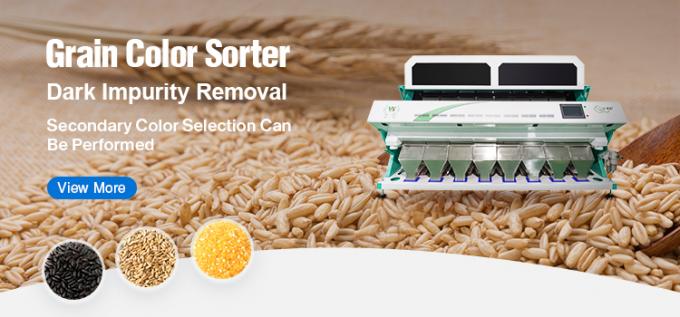 Proveedor de Clasificadoras Ópticas Mini de Máquinas Agrícolas Wenyao para Trigo 5