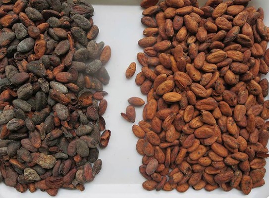 Máquina clasificadora de color CCD óptica de fábrica china más nueva Wenyao 2025 para almendras, pistachos y nueces de cacao 11