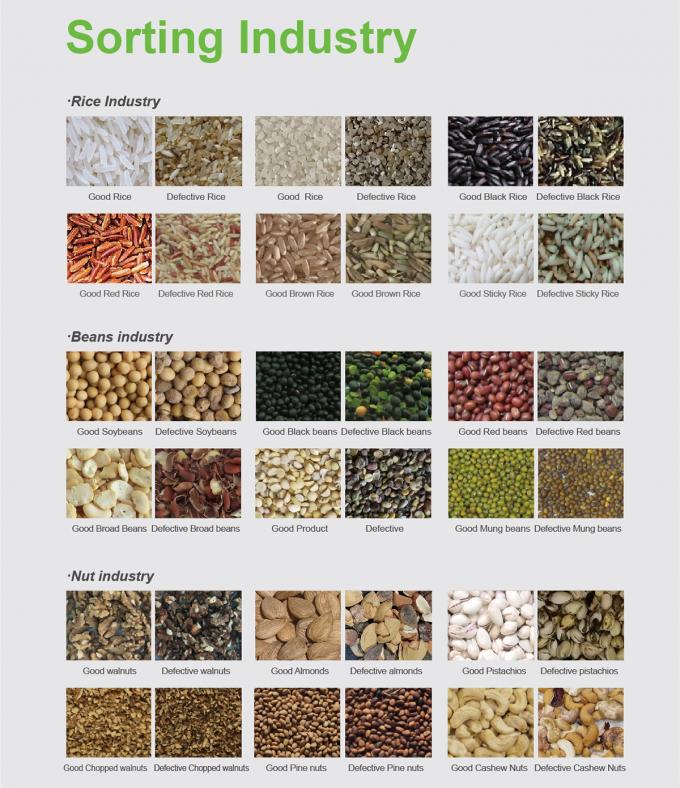 Large Output 304ss 316 Stainless Steel Intelligent Color Sorter Machine for Salt 2