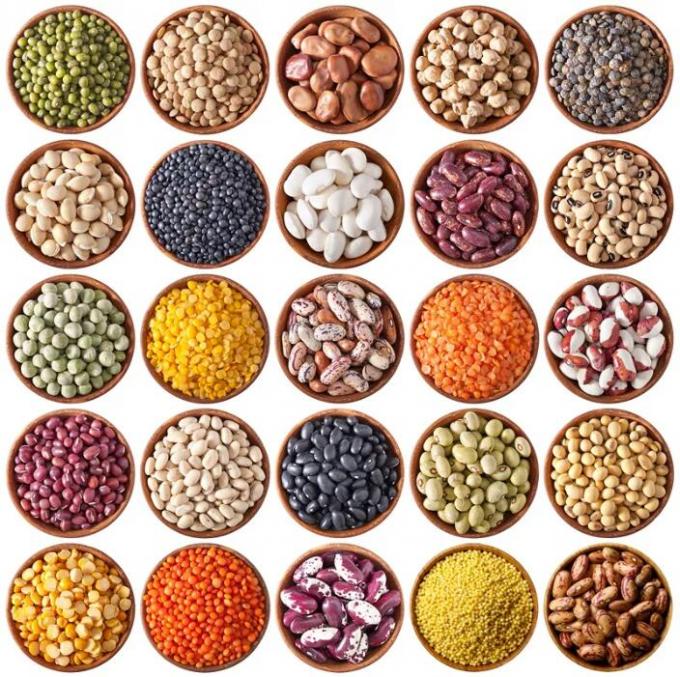 Máquina clasificadora automática de color de pimienta negra Wenyao para clasificación de semillas y frijoles de alta precisión 8