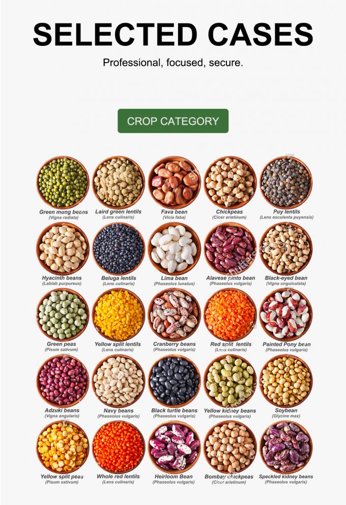 WENYAO Parámetros Ajustables de Clasificación de Alta Velocidad para Clasificadoras Ópticas de Líneas de Clasificación de Granos 8