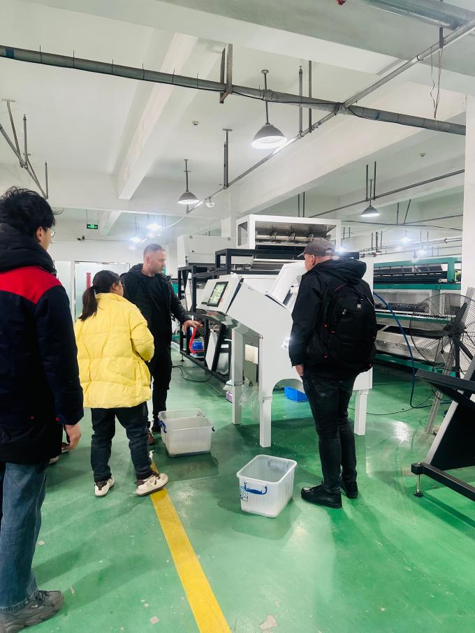 WENYAO 2025 Lanzamiento de nuevo producto 304/316L Alta precisión CCD Particulas de sal de roca clasificador de color 10