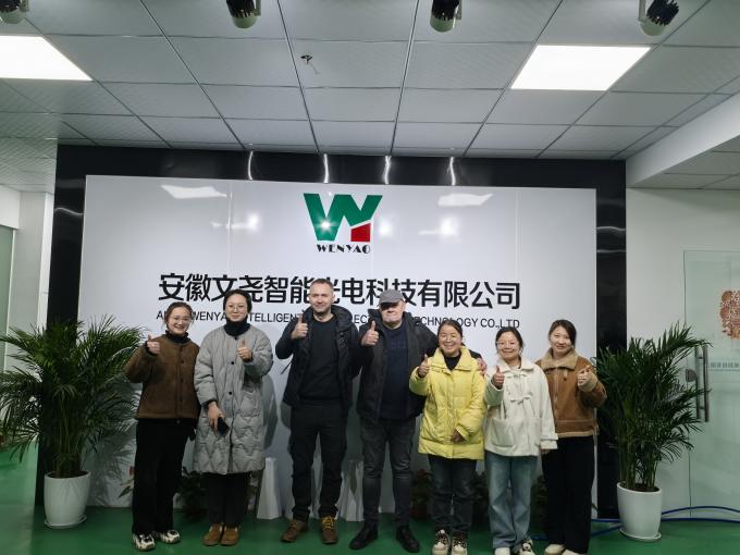 WENYAO 2025 Lanzamiento de nuevo producto 304/316L Alta precisión CCD Particulas de sal de roca clasificador de color 13