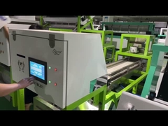 Color Sortador Máquina de selección de color para el ajo