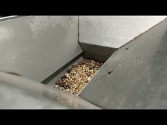 Máquina de clasificación de nueces de vela Línea de procesamiento de nueces de vela Seleccionador de colores de buena calidad para nueces de vela