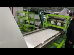 Máquina de clasificación de verduras de 3 t / h, máquina de clasificación de color de chile rojo seco