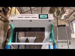 semillas oleaginosas