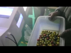 clasificador de color de oliva