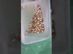 clasificador de colores de pistacho tipo cinturón clasificador de colores