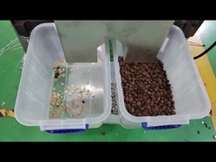 Sacha Inchi clasificador de colores