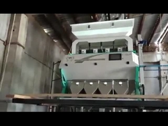 Sortidor de colores de frijoles rojos