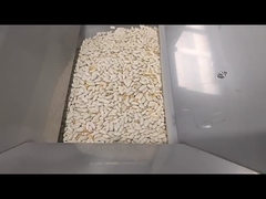 1 paracaídas para frijoles blancos