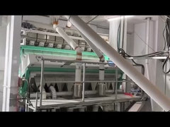 Sortador de color de maíz