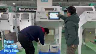 Sortidor de colores castaño