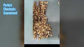 Clasificador de color castaño para nueces